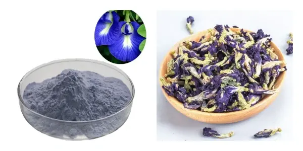 Butterfly Pea Flower Powder.webp